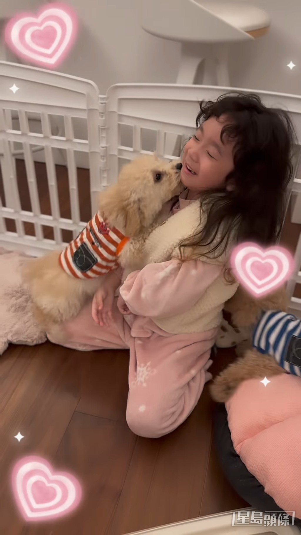 屋企仲有养两只狗狗。