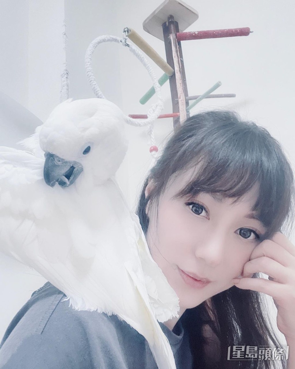劉心悠仲好鍾意小動物。