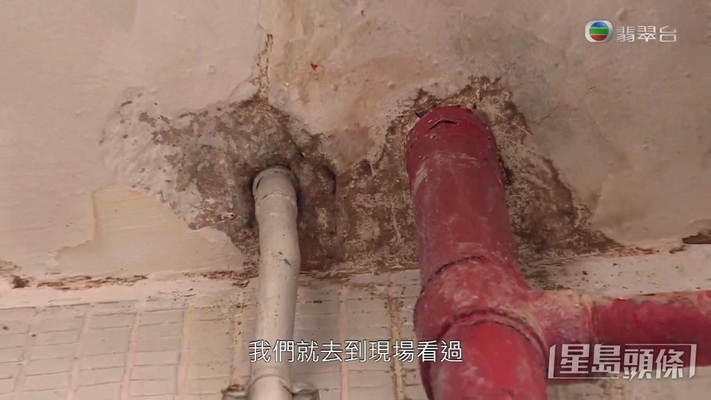 《東張西望》向管理公司查詢，對方指已經請滅蟲公司派人清除了現場的白蟻。
