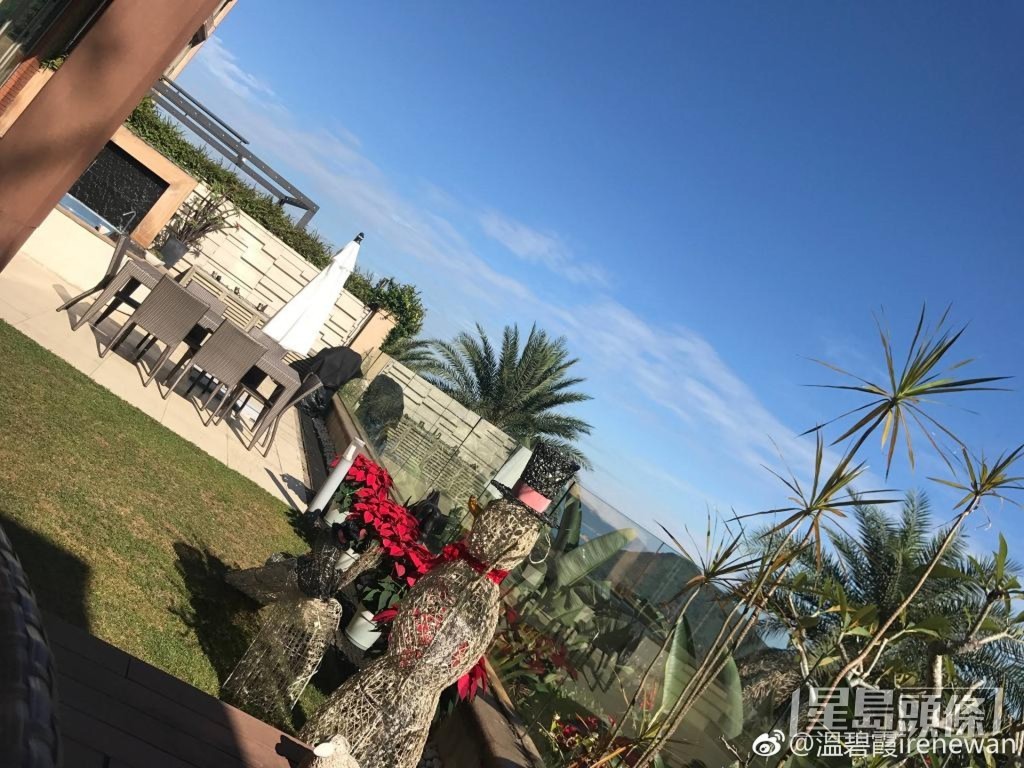 屋外花園。