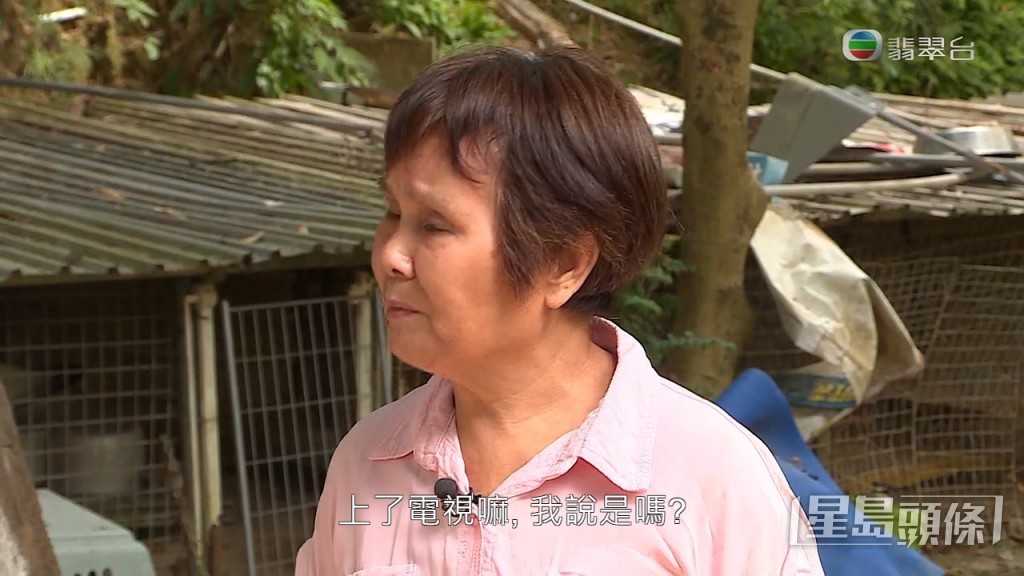 蘭婆婆指行山人士跟她說，狗義工利用狗狗籌款：「就算醫返好都唔畀返你，你隻狗上咗電視，全香港都知道。畀返你，你發夢都冇咁早啊！」