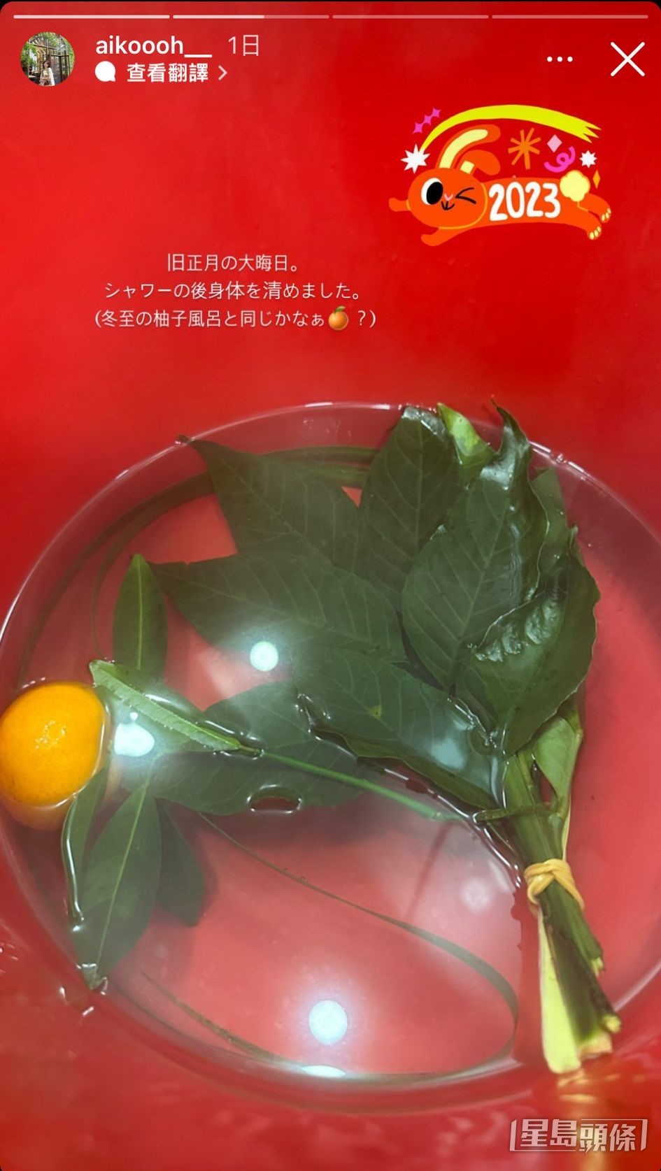 濱口愛子貼出似是碌柚葉的照片，估計是洗邋遢用。