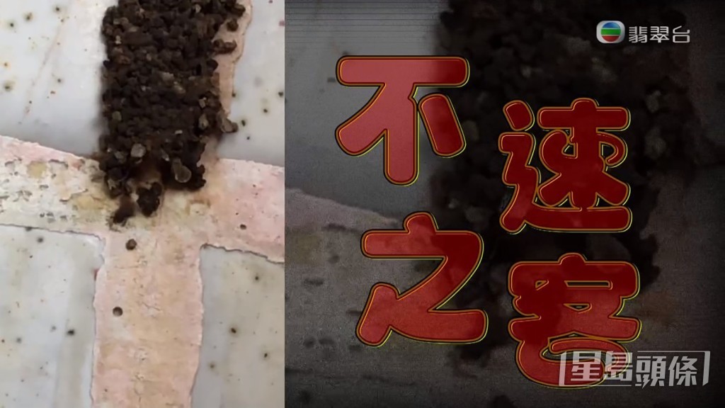 不少街坊都擔心白蟻會走入屋。
