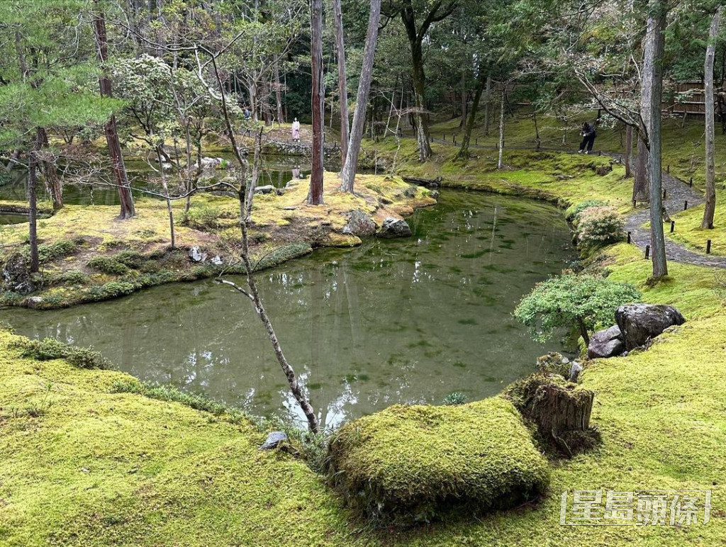 根據官方資料，全寺有逾120種青苔！