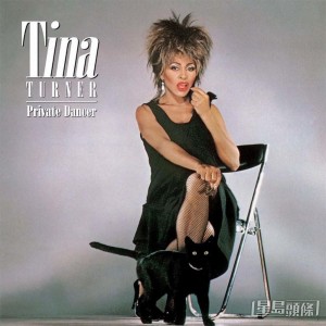 1983年發行第五張專輯《Private Dancer》，事業重上高峰。