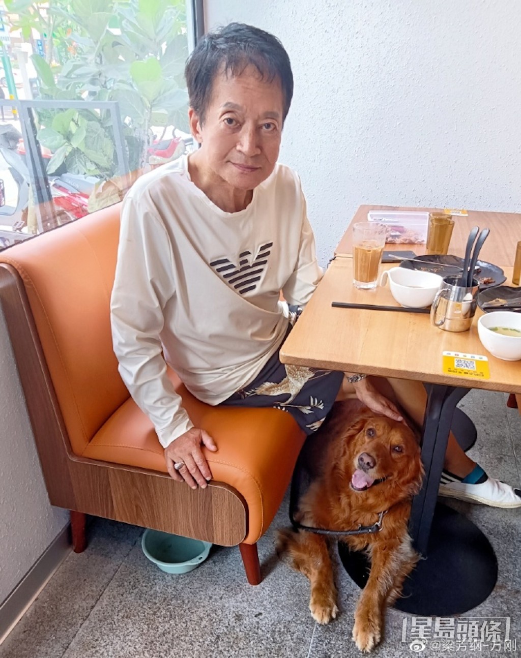 出入都帶埋愛犬!