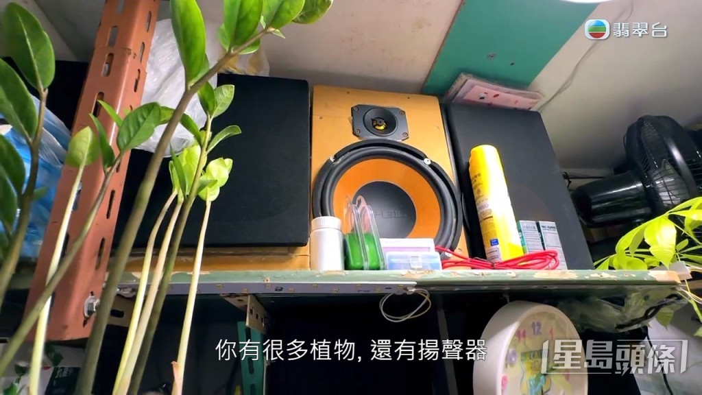 房內擺有揚聲器及植物。