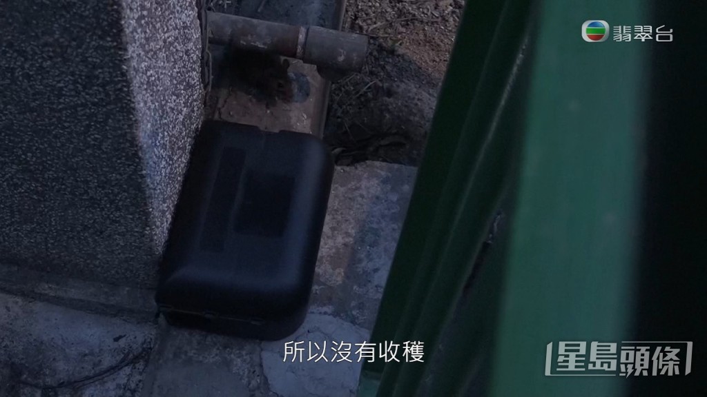 《東張》與滅鼠專家設置捕鼠器，雖然有老鼠再側邊行過，但最後一無所獲。