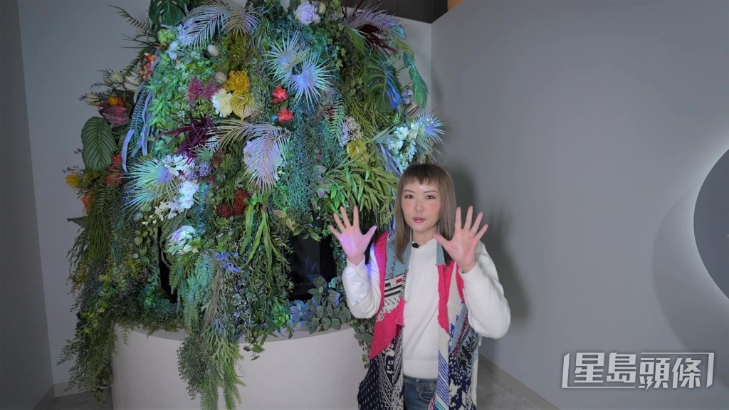 杜如風大嗌「臨老入花叢」。
