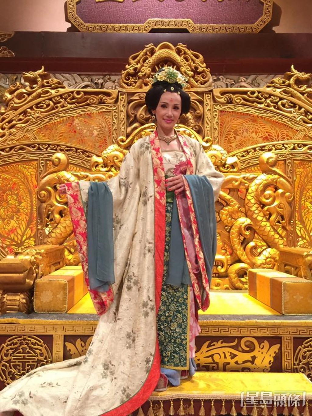 參與過不少劇集之演出。