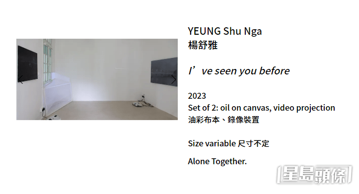 Emma展品除了油畫外，還搭配了錄像裝置。