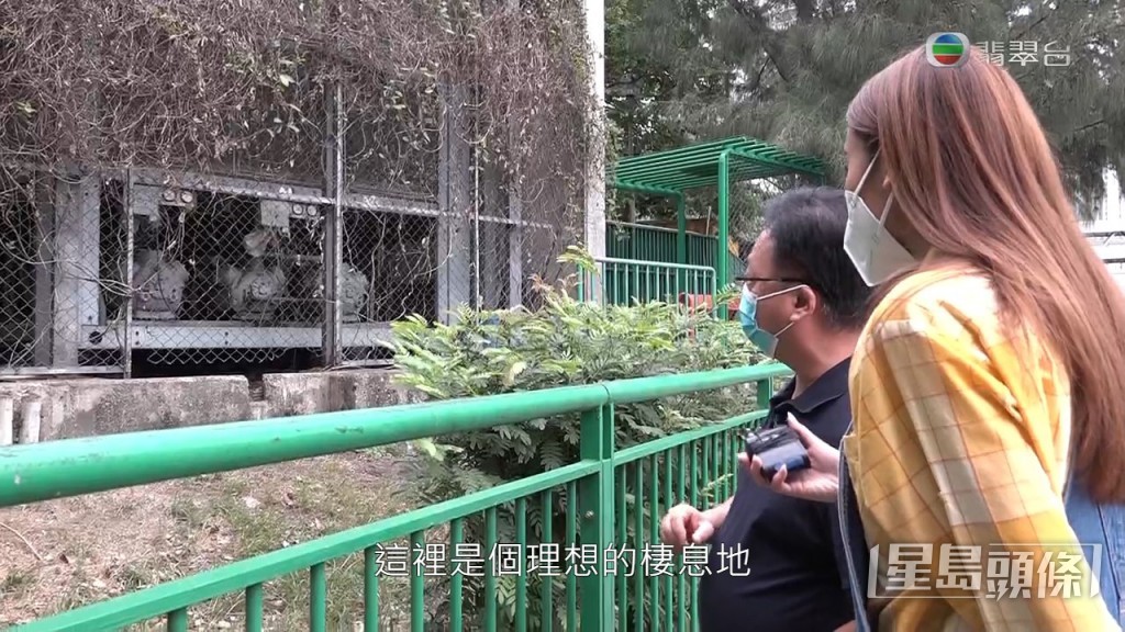 滅鼠專家指蝴蝶邨水泵房是老鼠的理想居住環境，為老鼠遮風檔雨，而且中門大開，老鼠可以自出自入。