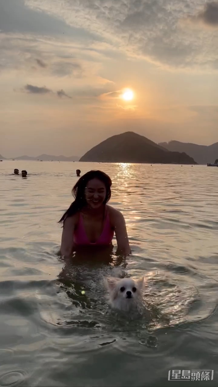 以往亦有陪狗狗到海灘。
