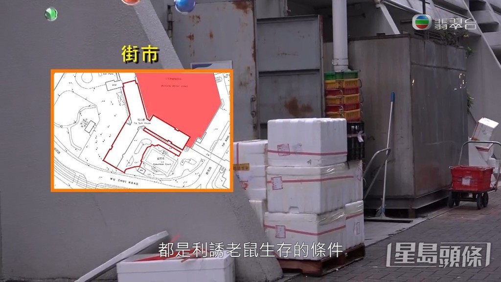 蝴蝶邨街市因貨物眾多，加上發泡膠箱、紙皮箱等，亦因而成為老鼠理想棲息地。
