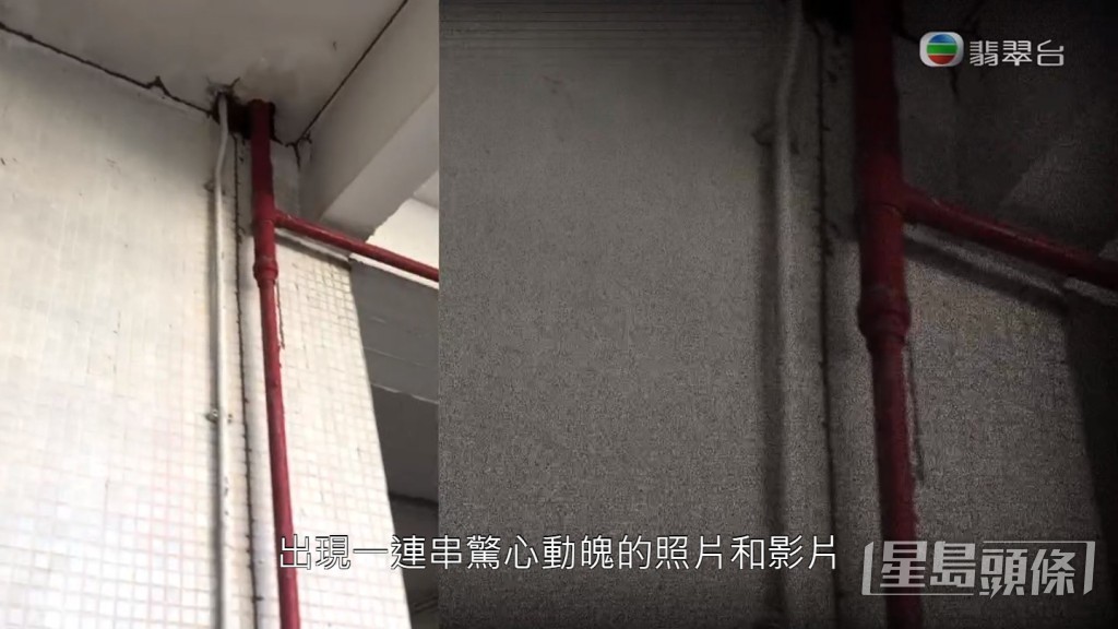 有街坊幾個月前已經見到這條白蟻路，遠看以為是生鏽。