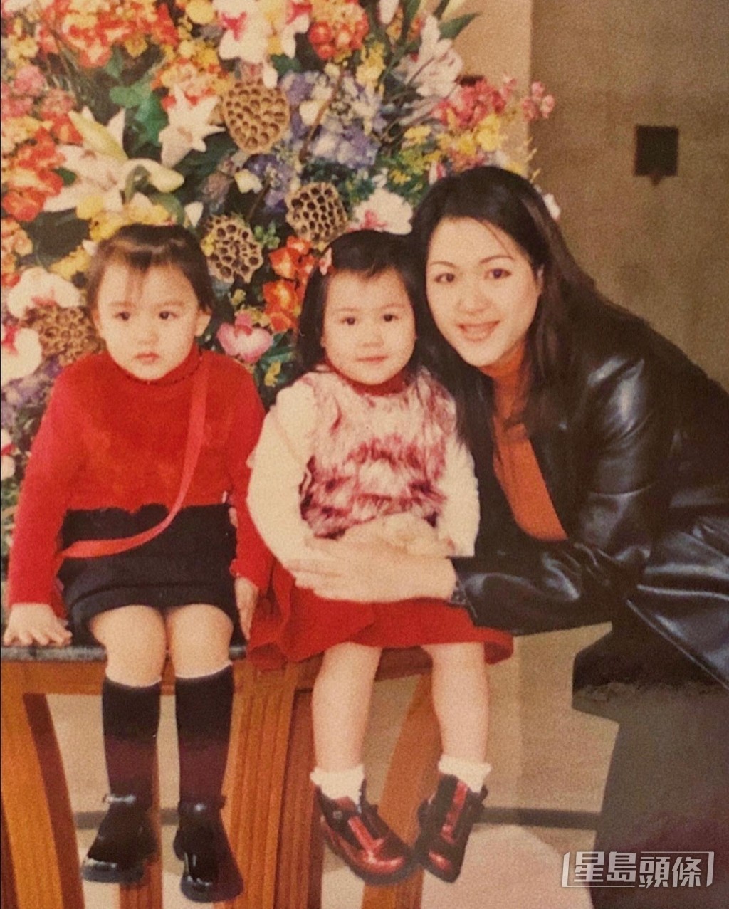 宋宛穎還有一個雙胞胎妹妹，由於父母在她小時候已經離婚，媽媽母兼父職湊大宋宛穎和孖生妹妹。