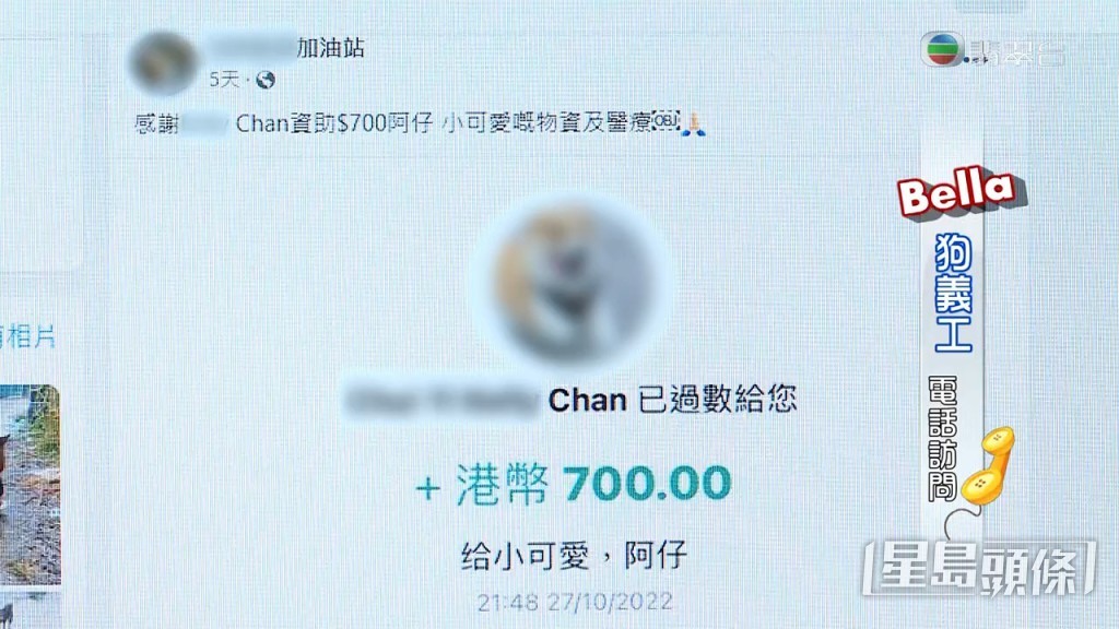 Bella反駁指並冇利用狗狗籌款：「我哋絕對冇，全部都係有心嘅愛心人士，見到小可愛同阿仔搞到咁，先至願意資助佢哋睇醫生，係自發性嘅。」