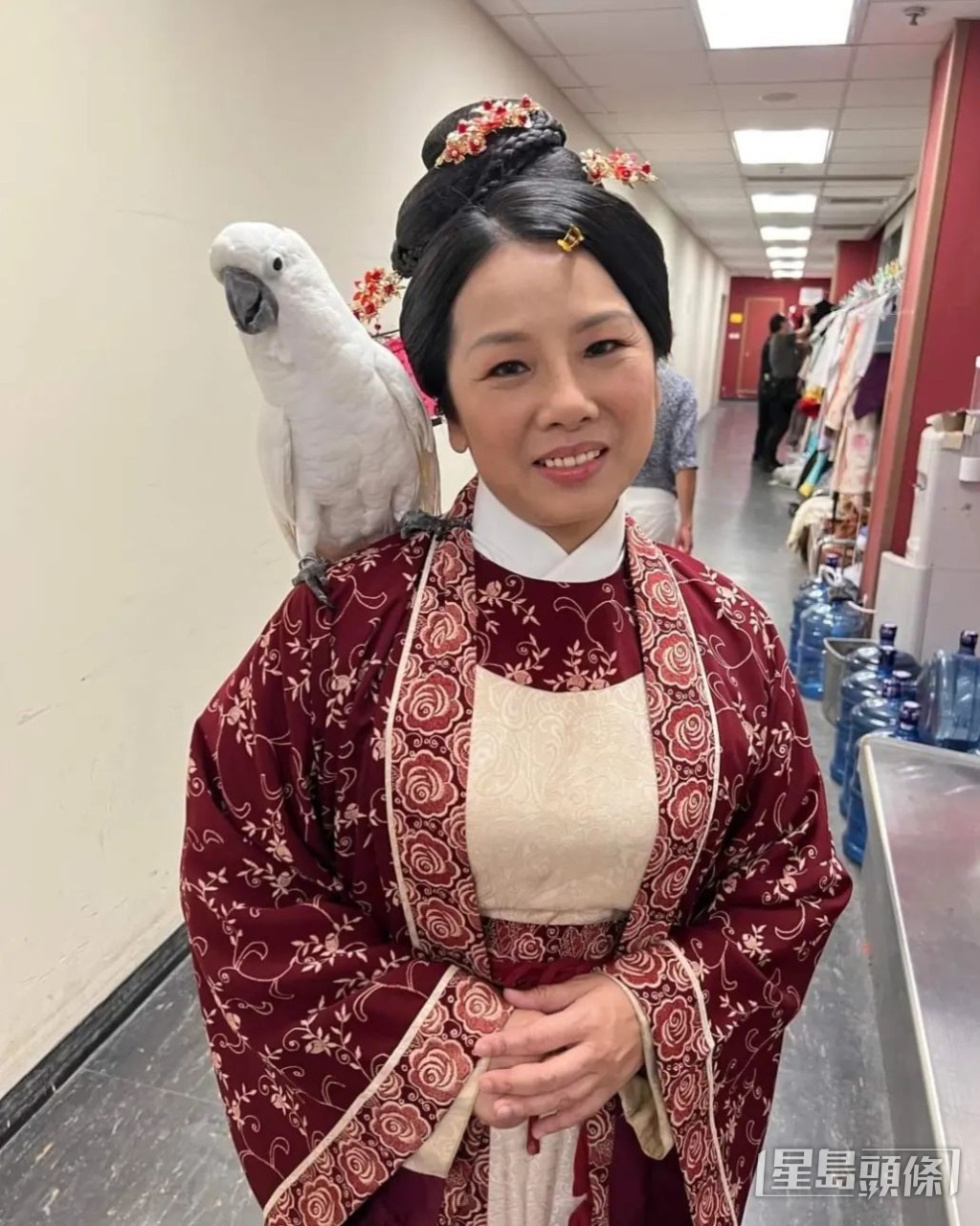 主力做師奶角色。
