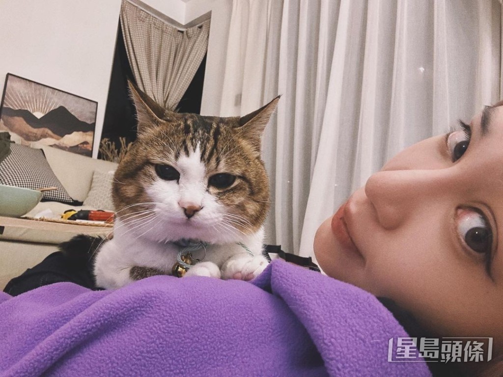 屋內有好多林泳淘嘅畫作。