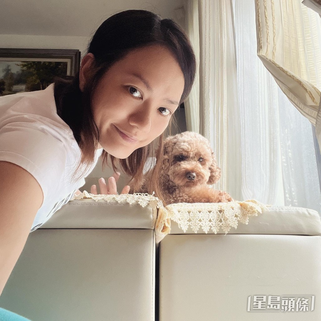 簡慕華接受傳媒訪問指,今次報讀寵物美容全因興趣。
