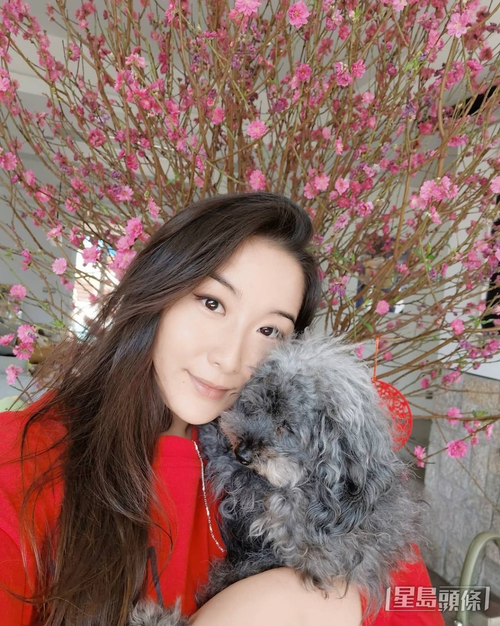 Chloe結婚成為人妻。