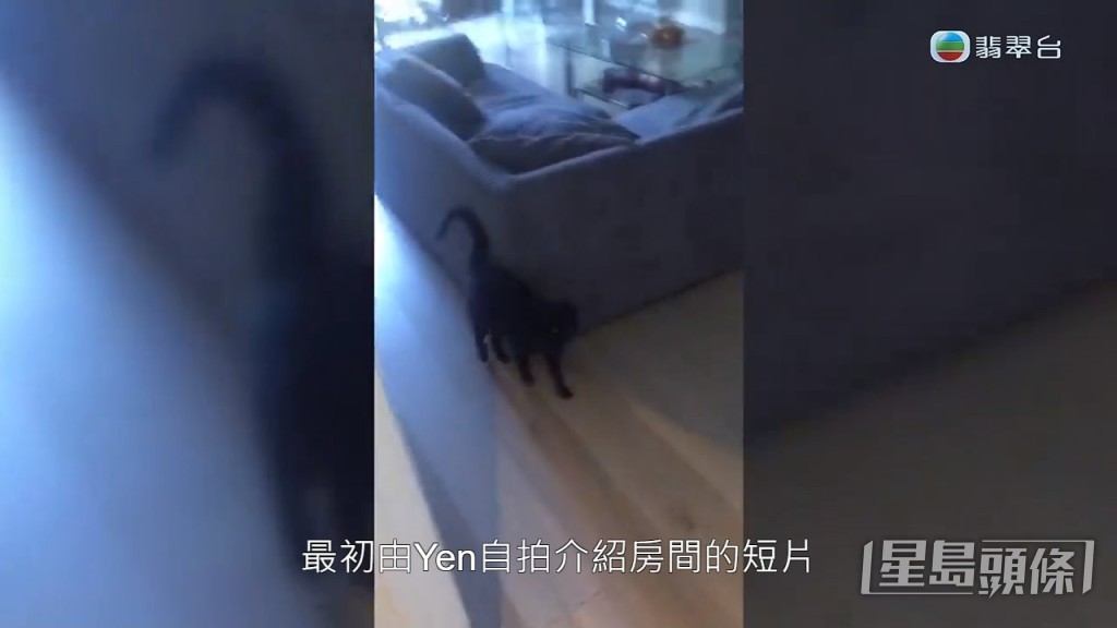 不過阿May向《東張西望》提供租屋前收到阿Yen拍的片，就清楚講明會將儲物室出租。