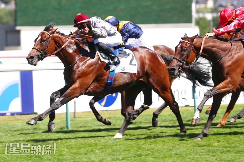 由法國練馬師盧傑訓練的「神尊全智」在杜滿樂胯下勝出香港賽馬會拜倫錦標(三級賽二千米)。 由法國練馬師盧傑訓練的「神尊全智」在杜滿樂胯下勝出香港賽馬會拜倫錦標(三級賽二千米)。