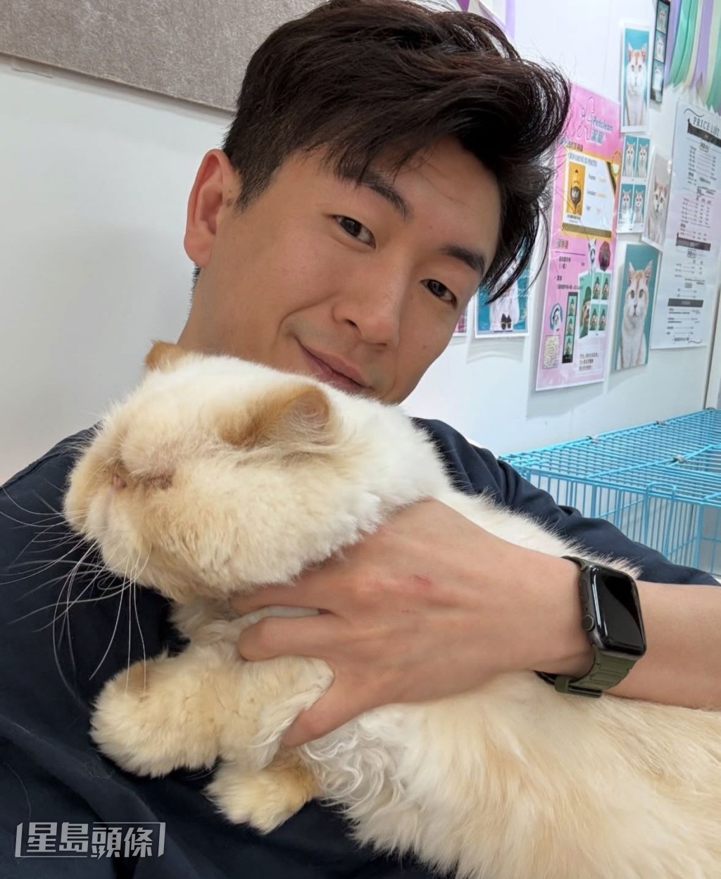 愛動物的馬貫東希望拍攝有關流浪動物的劇集。