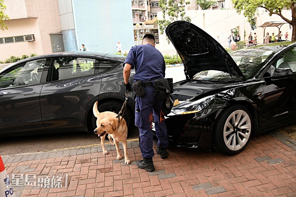 警犬在場搜索。楊偉亨攝 警犬在場搜索。楊偉亨攝