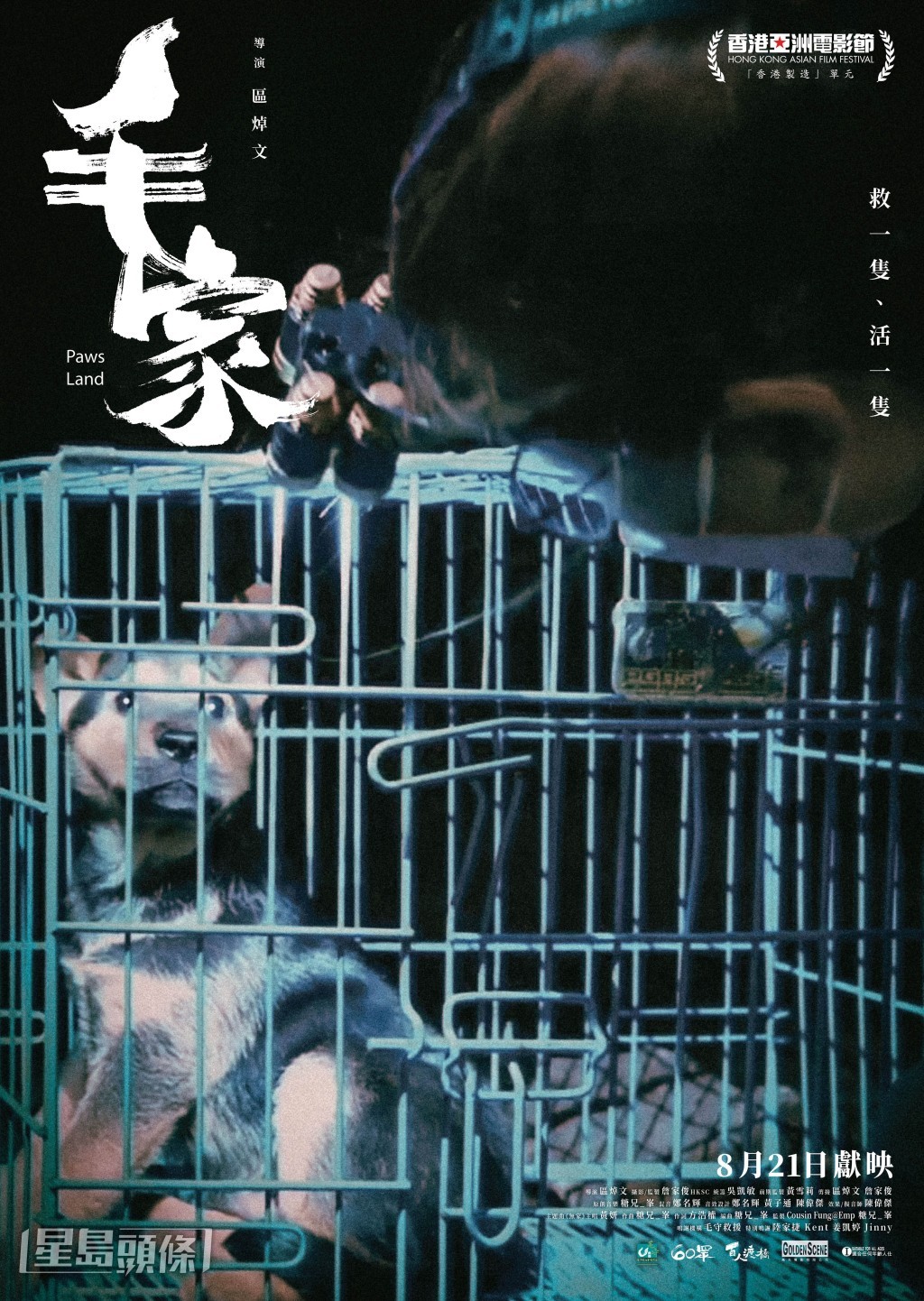紀錄片《毛家》 紀錄片《毛家》