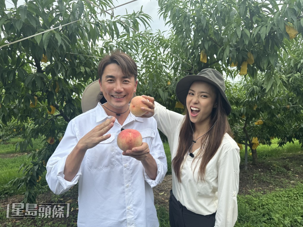 Tony和劉穎鏇遠赴韓國「水果之鄉」慶尚北道,親自採摘及品嘗爽甜的水蜜桃。 Tony和劉穎鏇遠赴韓國「水果之鄉」慶尚北道,親自採摘及品嘗爽甜的水蜜桃。