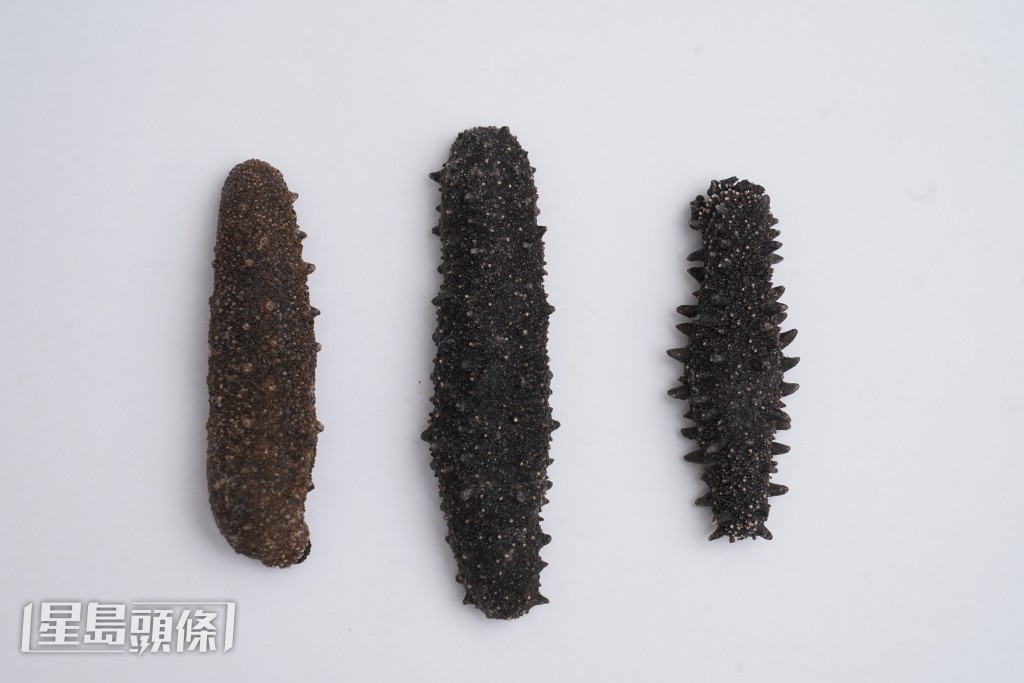 日本刺參被譽為海參中極品，產地（右起）包括北海道、關東及關西，主要分為是排針密度不同。