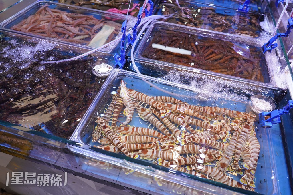 本地除來自菲律賓、越南、印尼及泰國的大頭蝦、花竹蝦、九節蝦及草蝦外,還有香港海域及內地的蝦種。 本地除來自菲律賓、越南、印尼及泰國的大頭蝦、花竹蝦、九節蝦及草蝦外,還有香港海域及內地的蝦種。