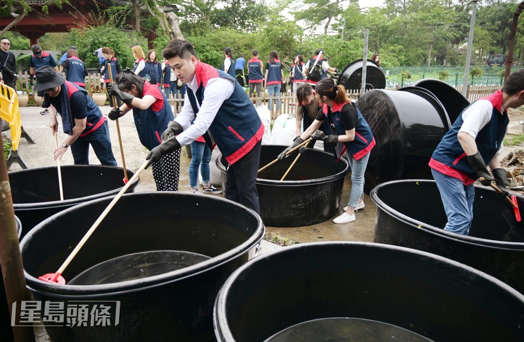 星岛行政总裁兼社长蔡晋博士与一众义工队齐清洗荷花种植缸。