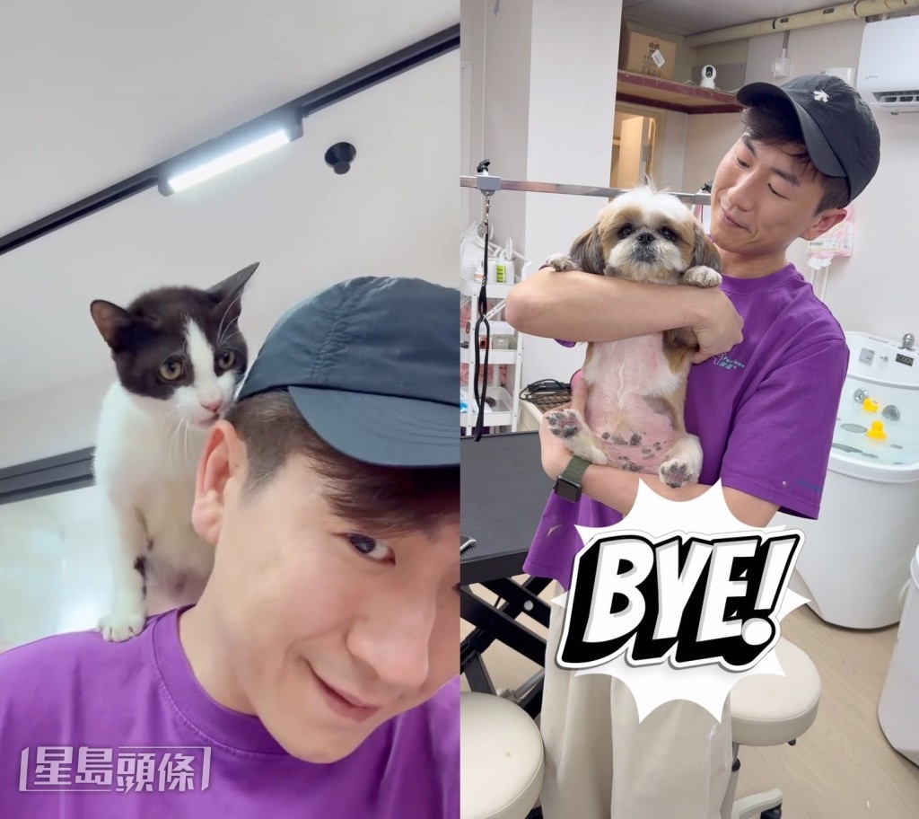 馬貫東喜愛貓狗,希望為更多小動物找到歸宿。 馬貫東喜愛貓狗,希望為更多小動物找到歸宿。
