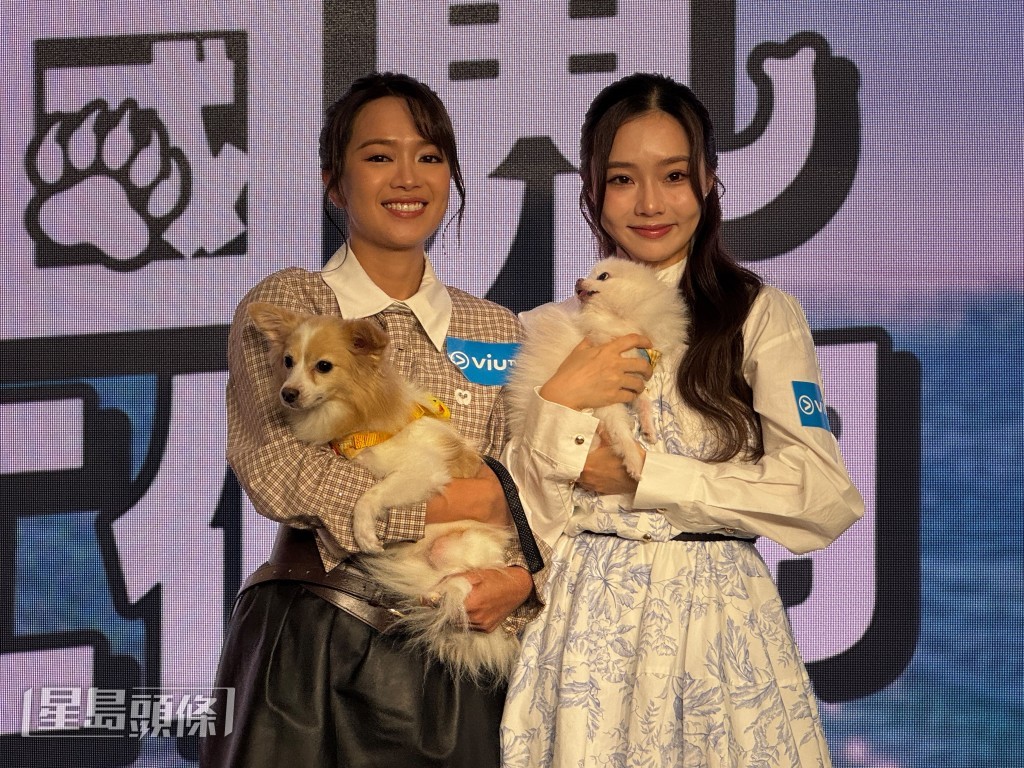 陳俞希兩隻領養的愛犬亦有到埸。 陳俞希兩隻領養的愛犬亦有到埸。