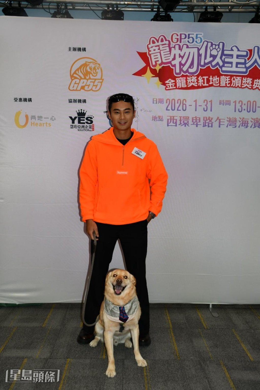 收養之後從來沒有教過牠做任何事。