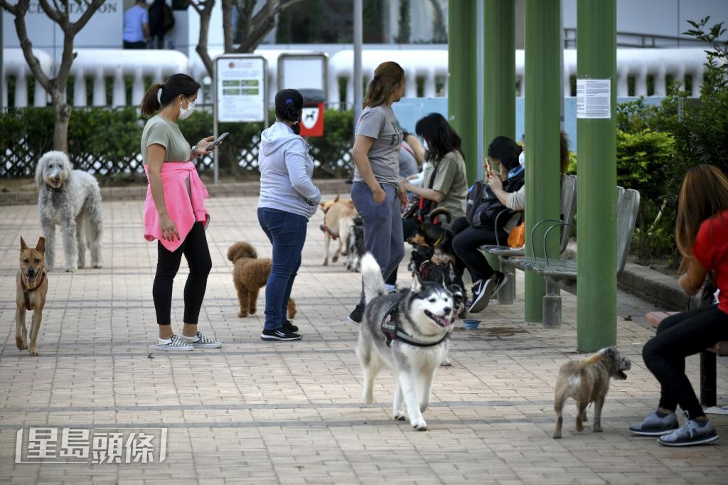 有動物救援組織指，過去時有相關案件，籲主人多加留神。