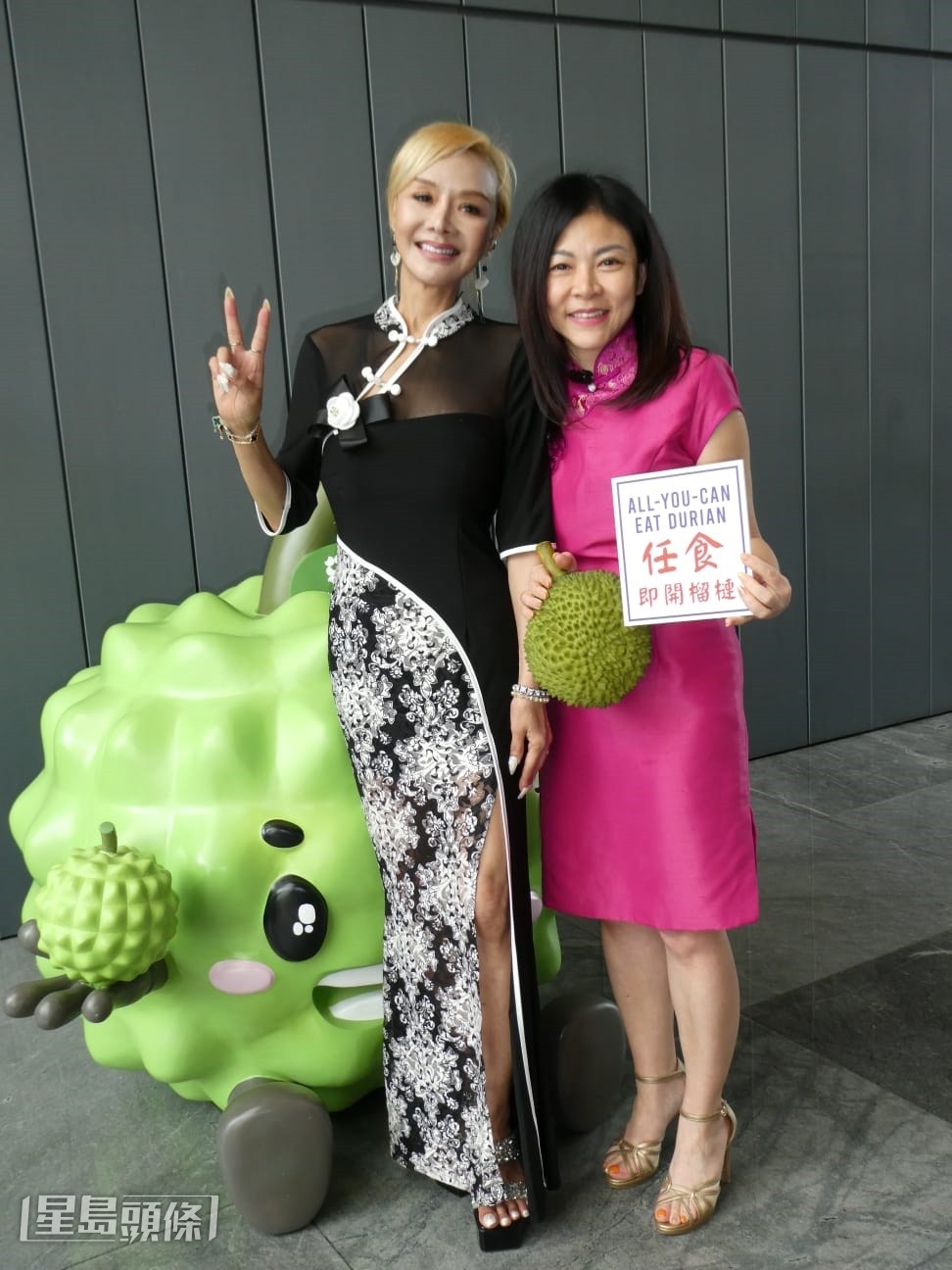  葉子楣近年獲馬來西亞生意合夥人莊美娥邀請下於檳城投資酒店業，由幕前轉戰商界化身成女強人。