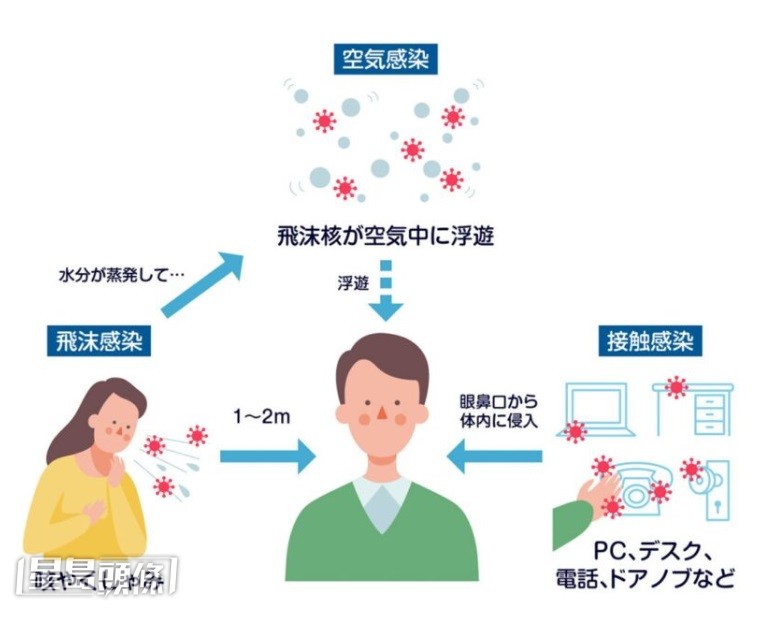 麻疹可透過空氣、飛沫和接觸傳播，具有高度傳染性。