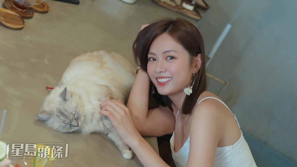 店內有可愛貓貓。 店內有可愛貓貓。