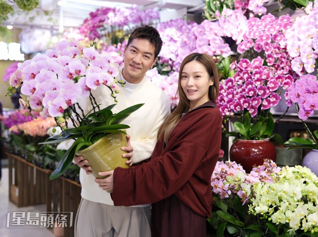 黎诺懿、李佳芯主演的《义和》，赢得口碑、收视，二人期望开拍续集。