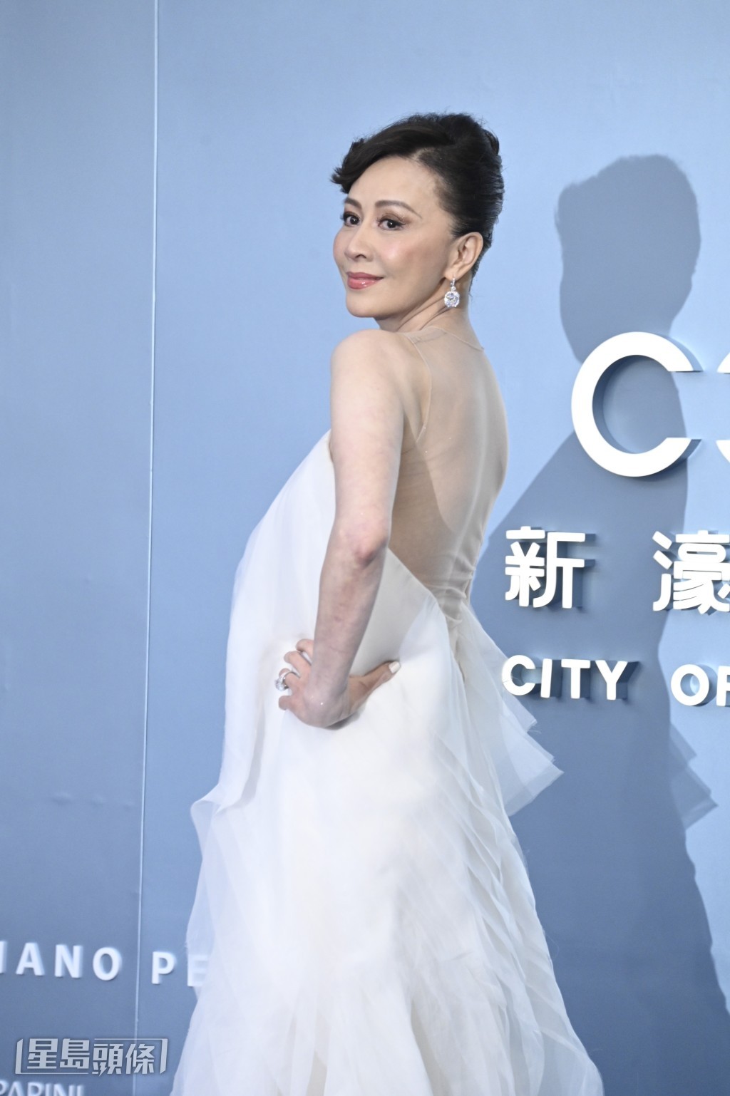 嘉玲說是大會寫的稿自己再臨場發揮,若有得罪大家不要介意。 嘉玲說是大會寫的稿自己再臨場發揮,若有得罪大家不要介意。