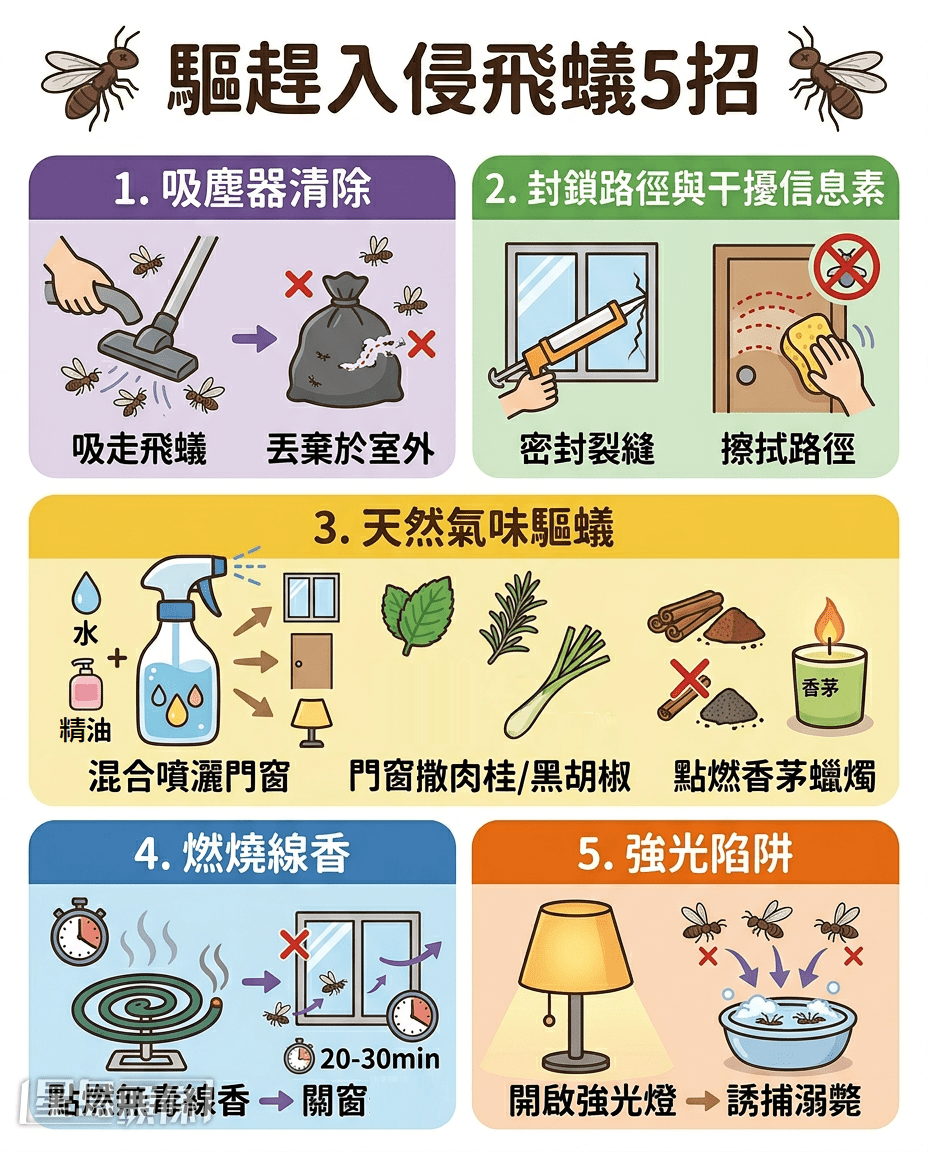 驅趕入侵飛蟻5招 驅趕入侵飛蟻5招