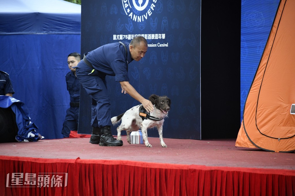 警犬隊即場表演。楊偉亨攝