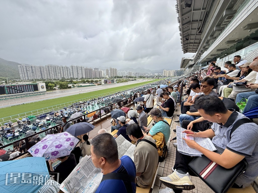 市民可免費進入沙田及跑馬地馬場的公眾席。