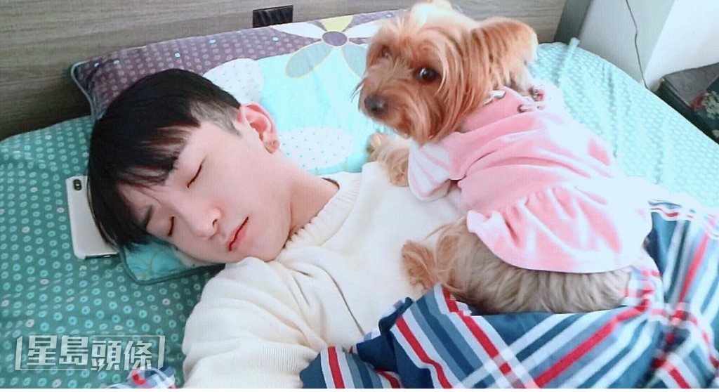 入行7年Lo最大難關是2019年愛犬Roxy離世。 入行7年Lo最大難關是2019年愛犬Roxy離世。