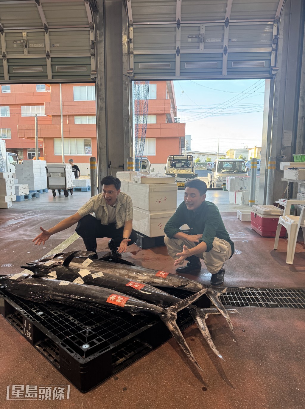 二人又一早探訪日本的魚市場,見識最新鮮肥美的魚獲。 二人又一早探訪日本的魚市場,見識最新鮮肥美的魚獲。