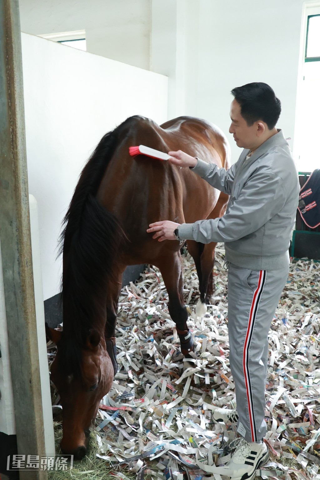 認養馬要先考能否與馬匹配合到，又要考馬房管理，所以裝馬鞍、沖涼等都要識。
