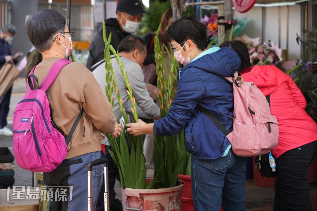 市民到花墟選購鮮花。吳艷玲攝